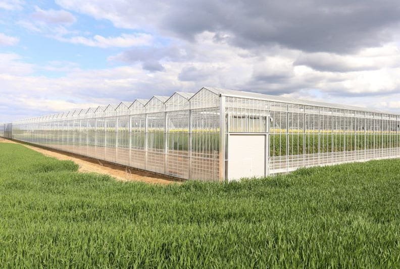 Greenhouse Haňovice