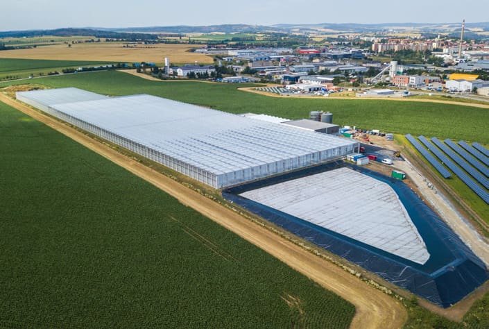 Greenhouse Kožichovice
